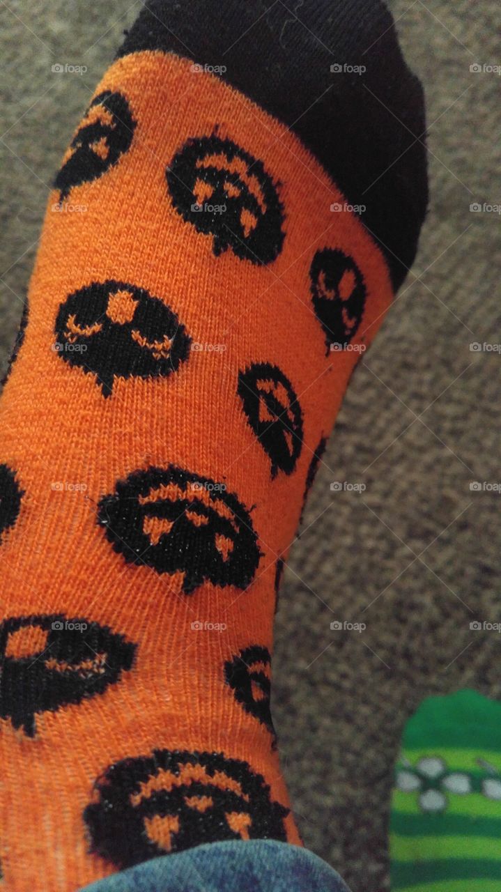 my socks are cute your argument is invalid
