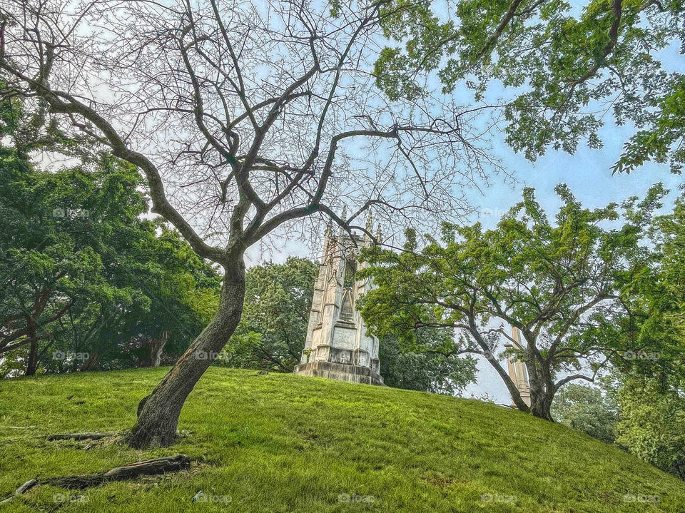 Gothic monument in a cemetery 