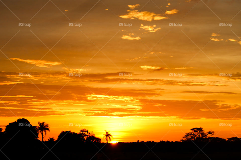 Lindo pôr do sol no Pantanal matogrossense