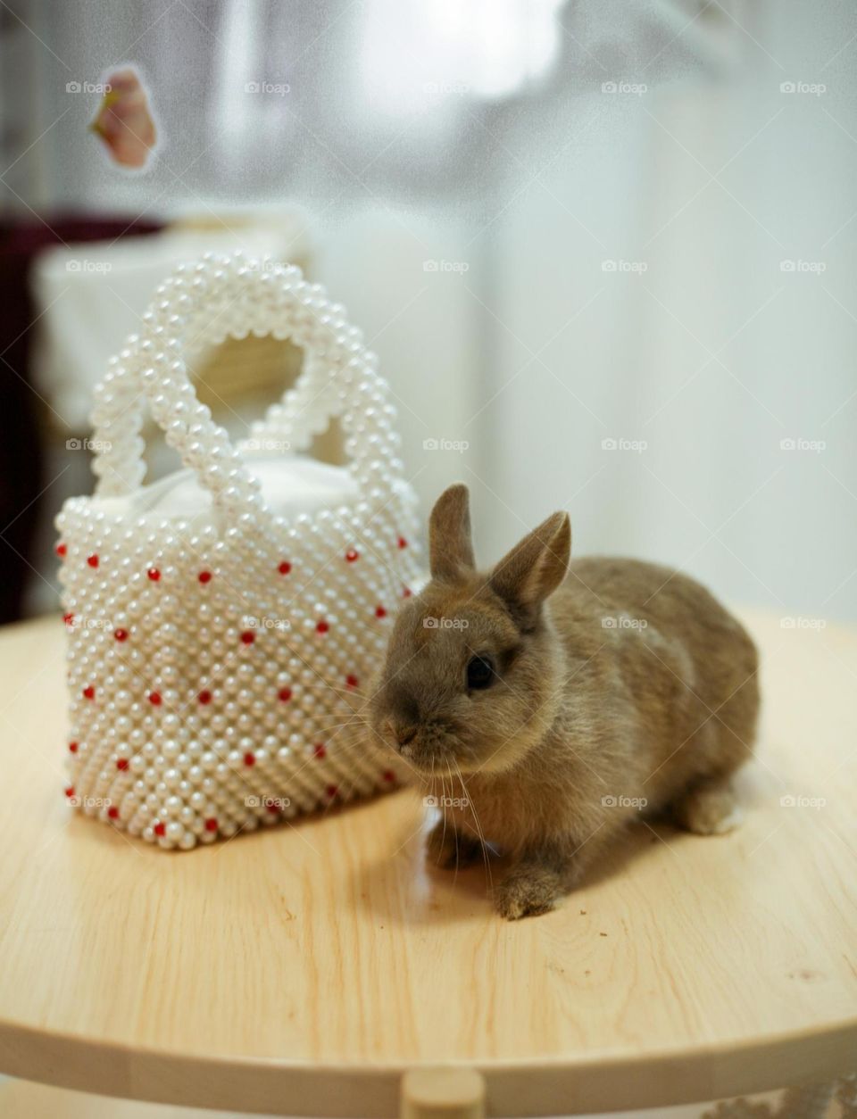 Pearl bag with rabbit 
