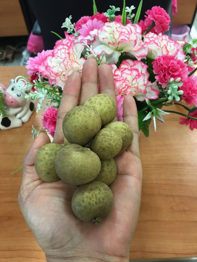 Fruit Sweet On  hand