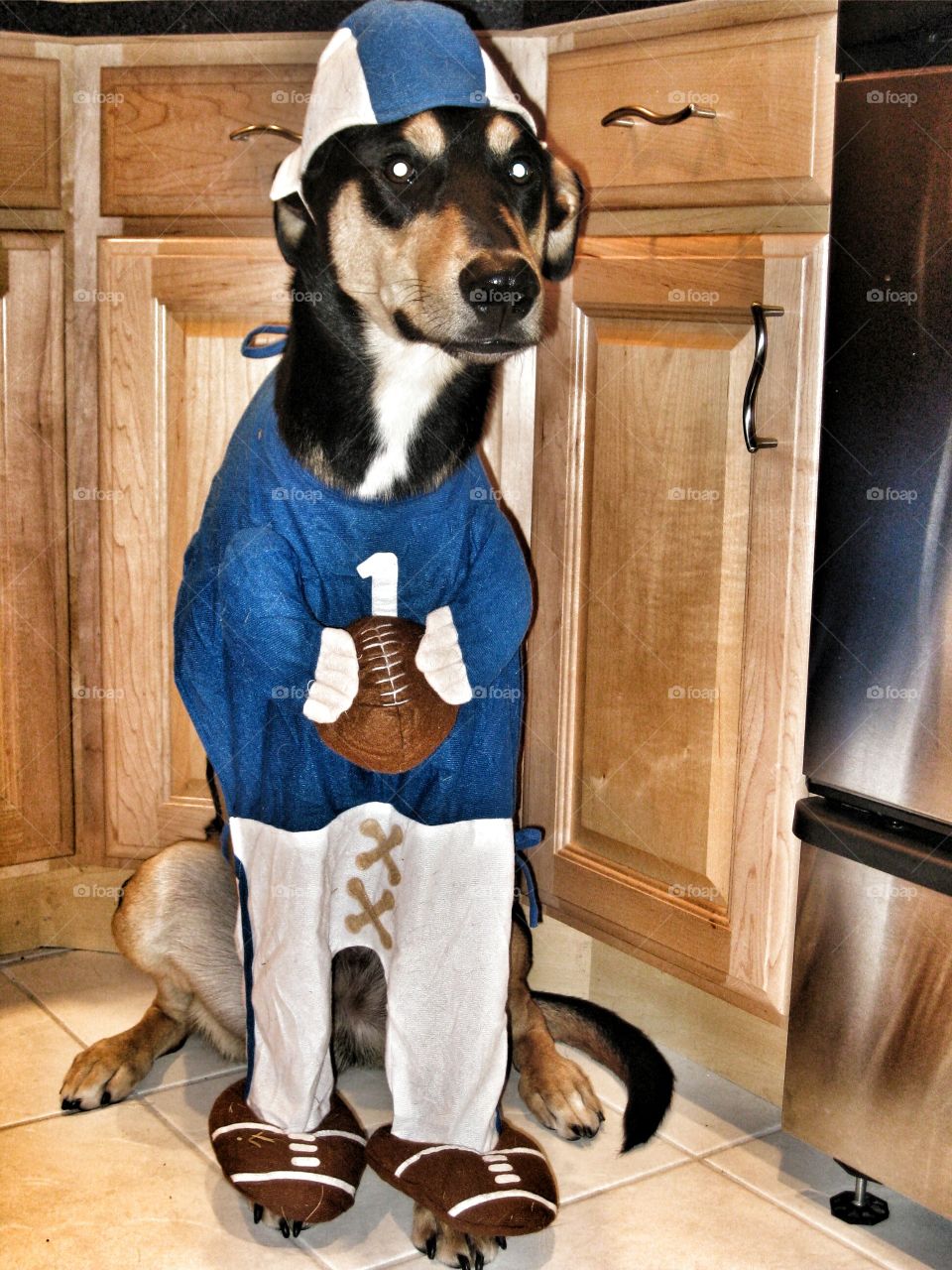 Arrow on Halloween sporting his quarterback costume!