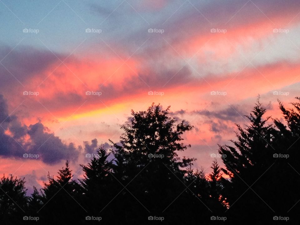 Sunset in Virginia 3