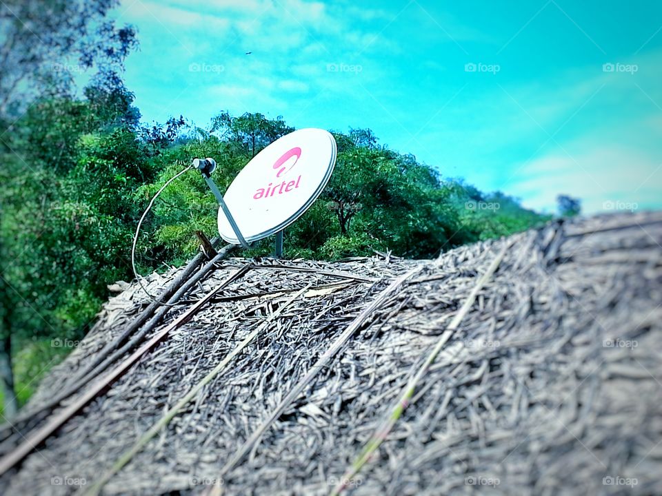 connect. dish antenna in hut