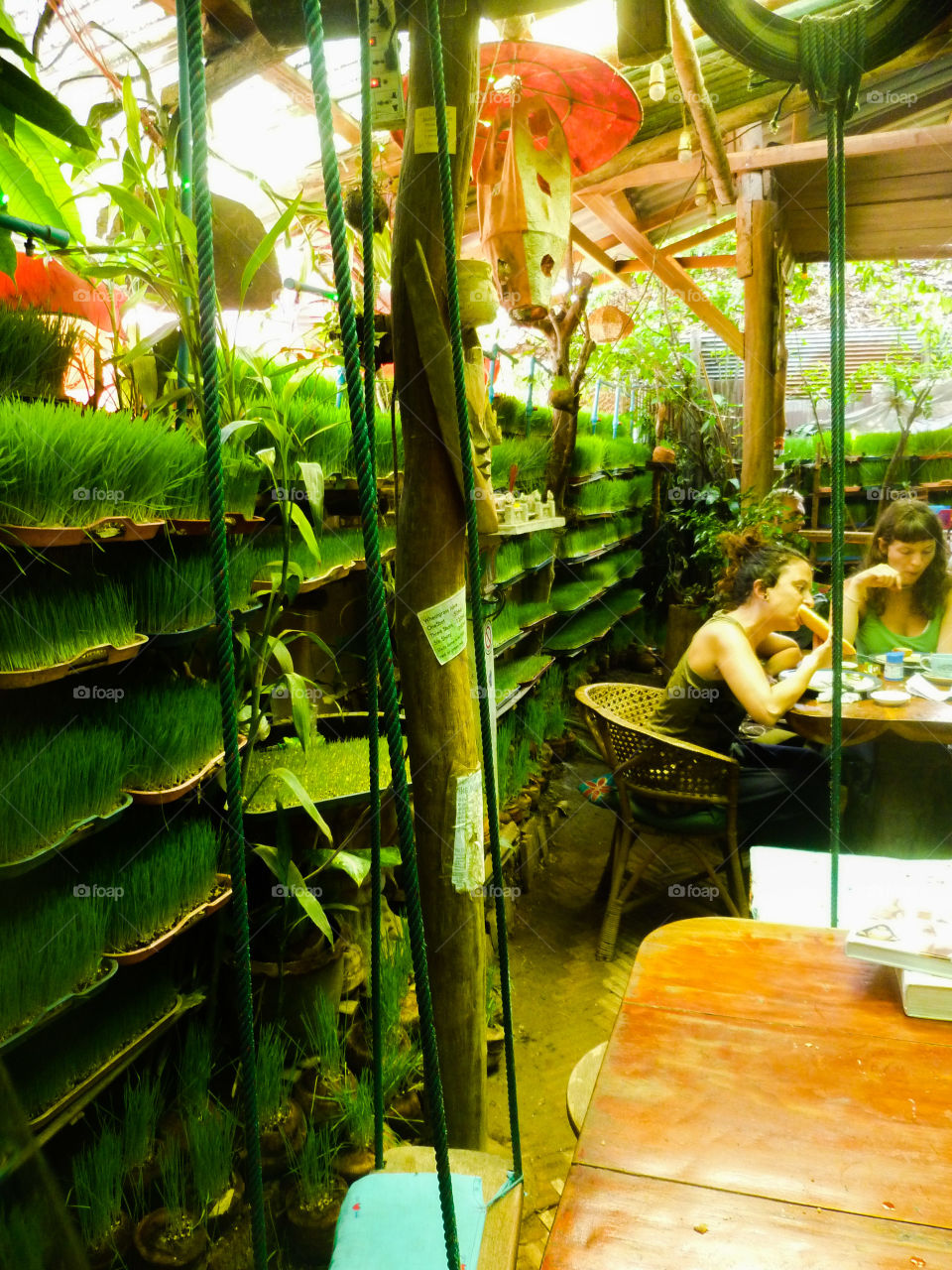 Green restaurant