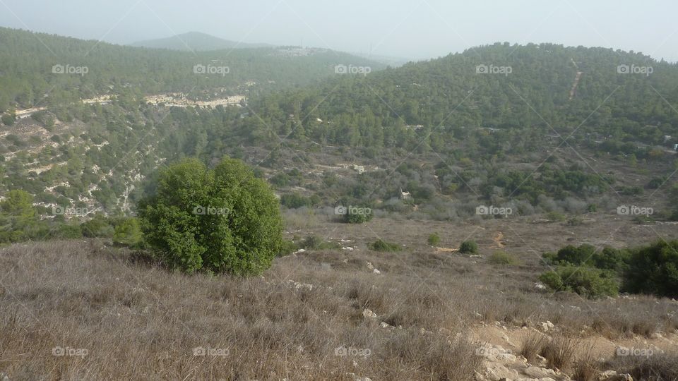 Judea Hills