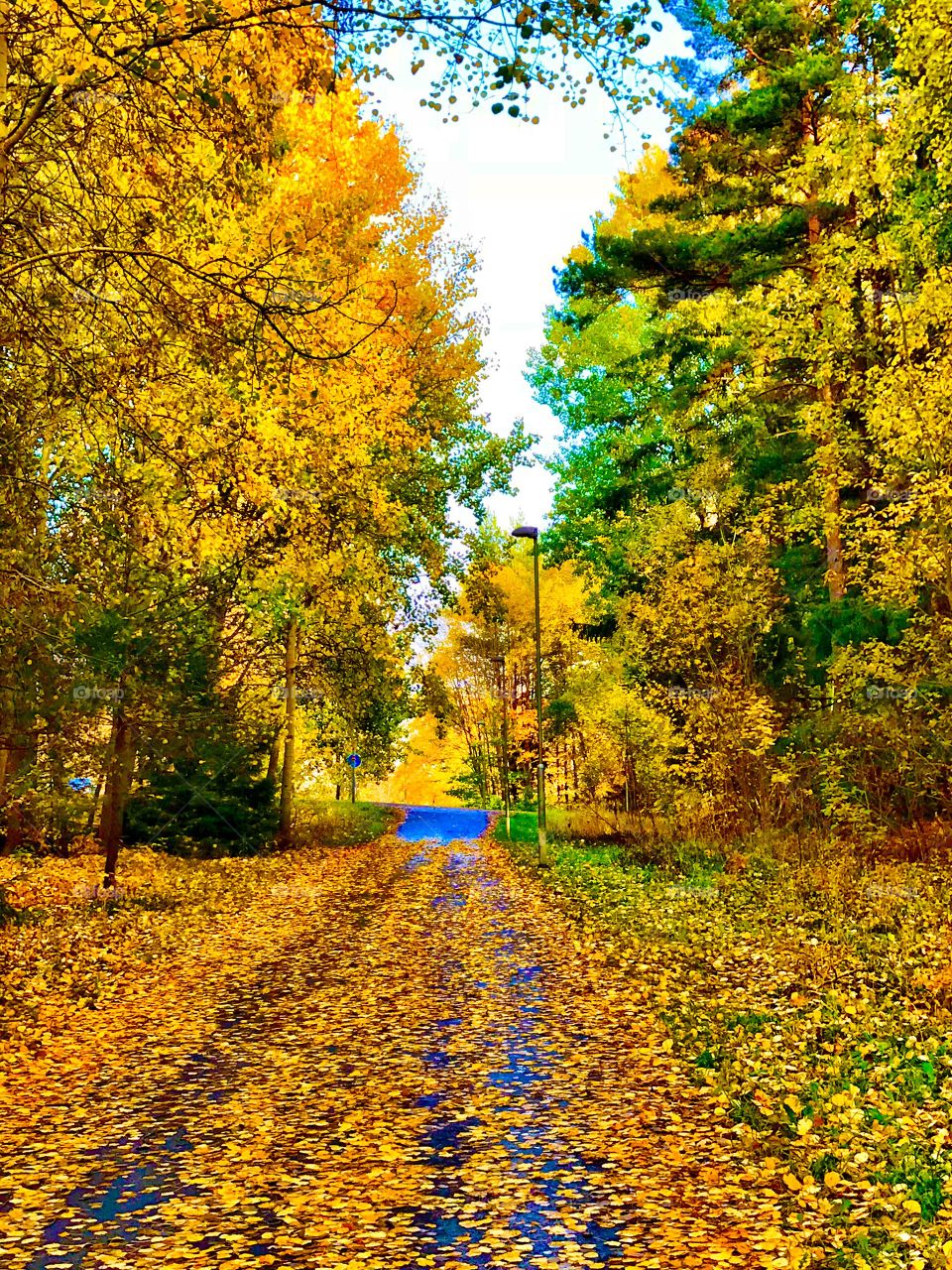 An afternoon in October 