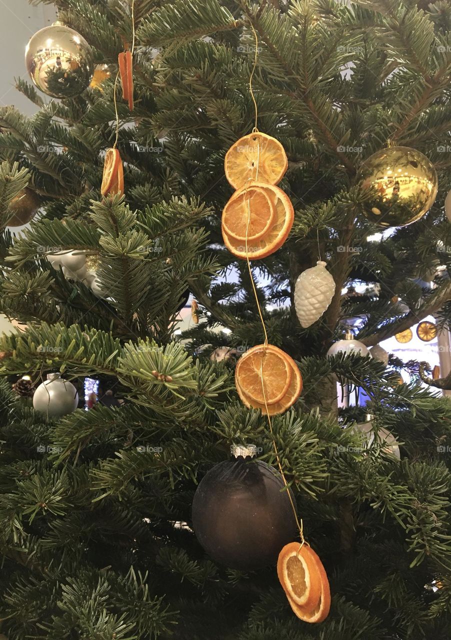 Greedy oranges decoration in Christmas tree