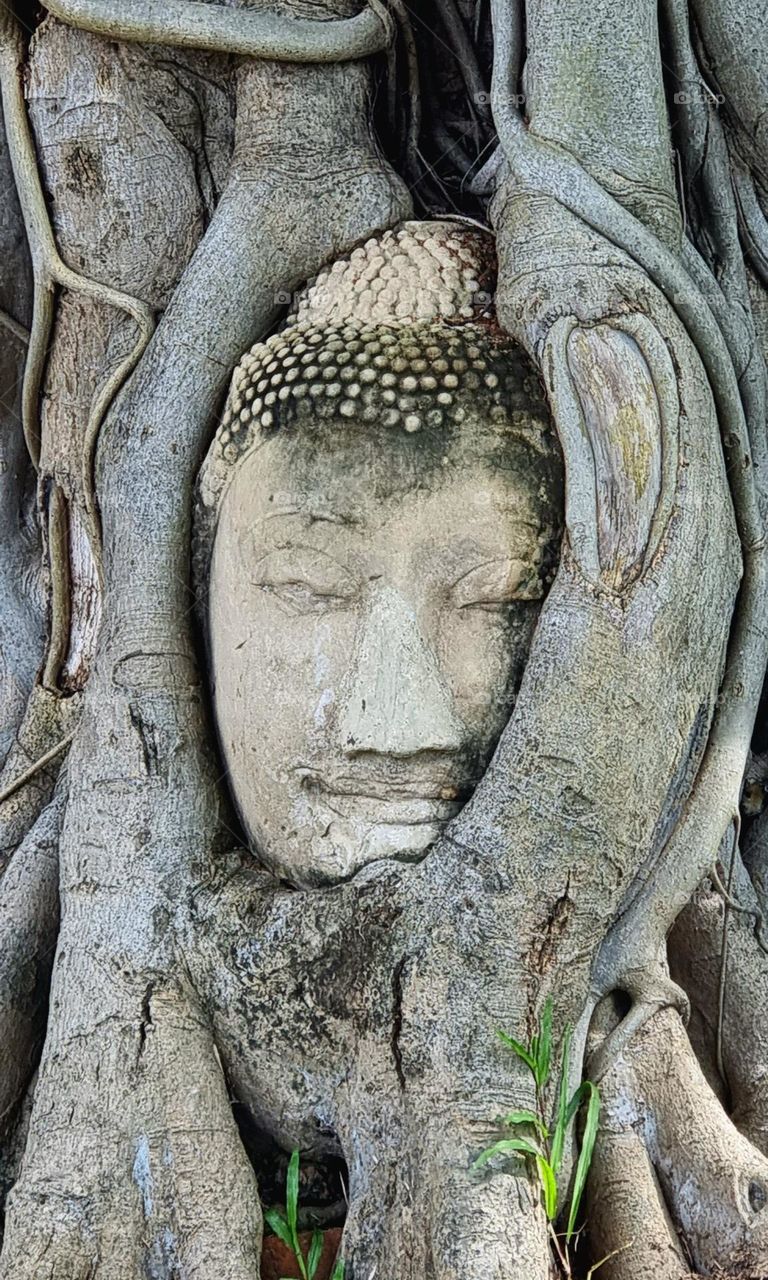 Ayutthaya, Thailand