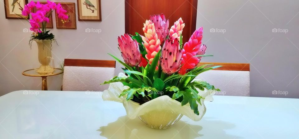 textile peony boho elegant branch season classic collection element colorful luxury paint beautiful tropical frame artistic wild holiday greenery exotic botany foliage romantic beauty petal rose decor flora natural ornament flower floral summer sprin