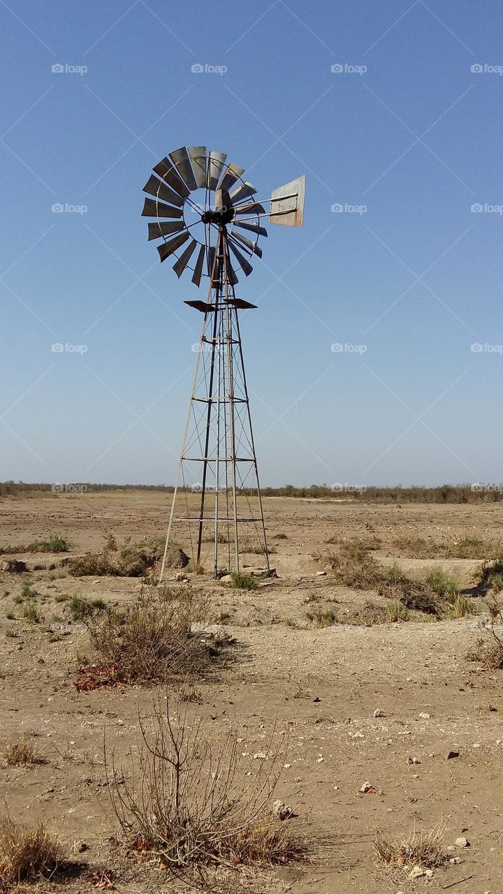 Windmill pumping water at a waterhole