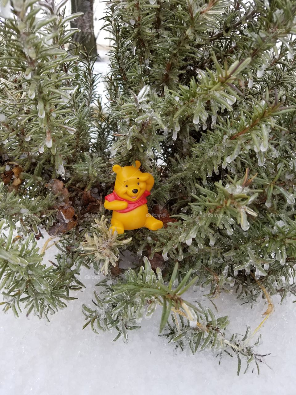 pooh out in the ice
