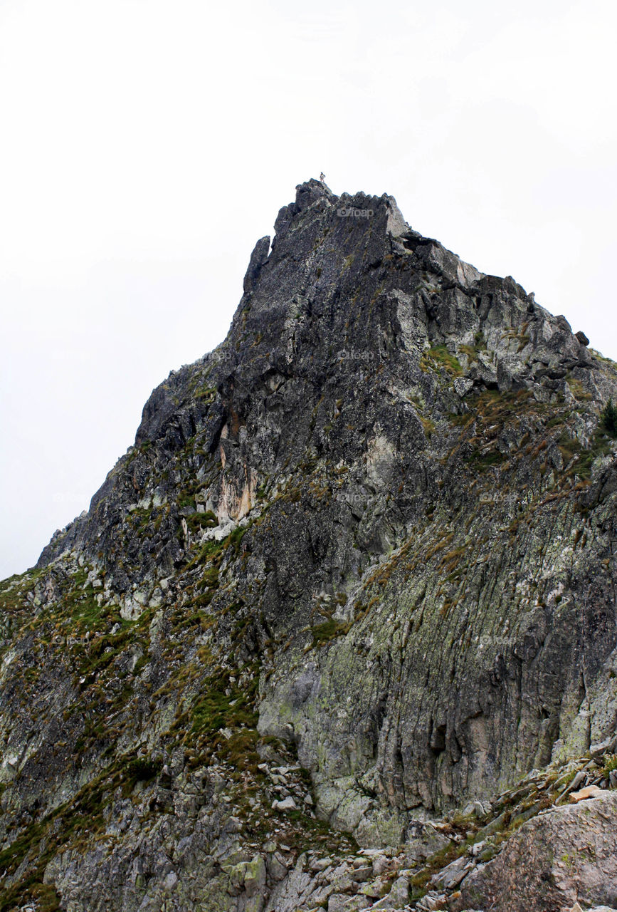 A human on the top of a mountain