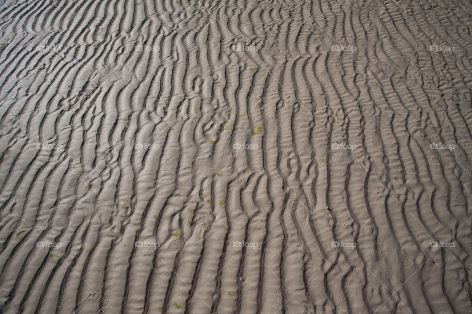 Ripples on sand