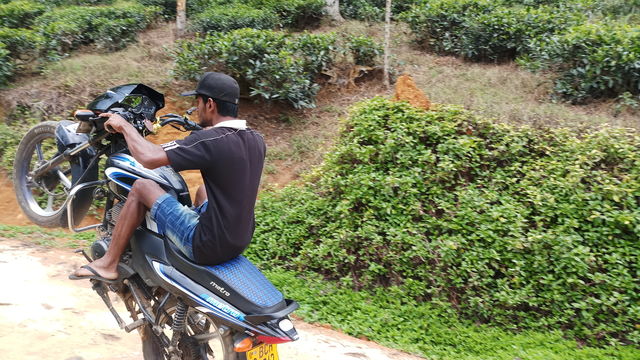 stunt