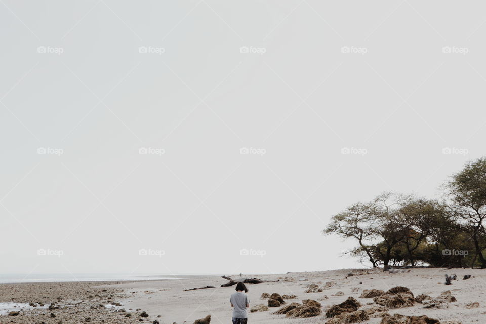 Water, Nature, Landscape, Winter, Beach