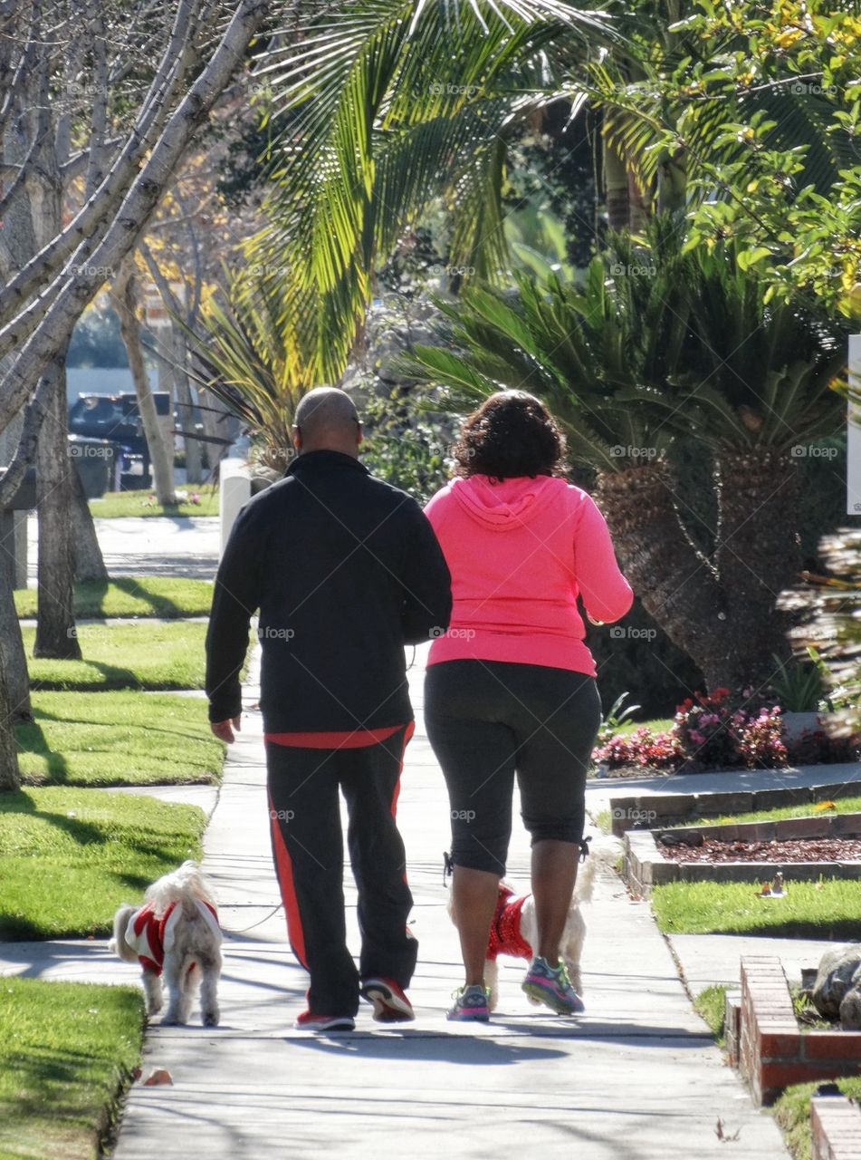 Married Couple Walking Their Dogs