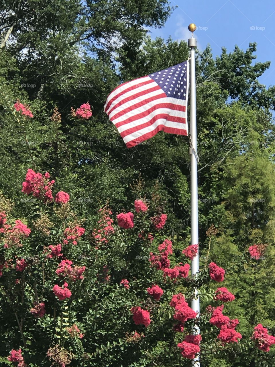 Flag in Edisto Memorial Gardens 