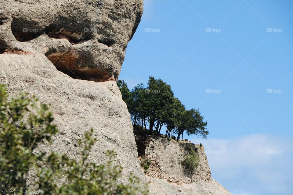 What a beautiful world- rocks , trees and blue skies 