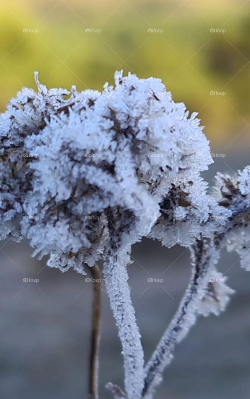 Maravilhas de Santa Catarina