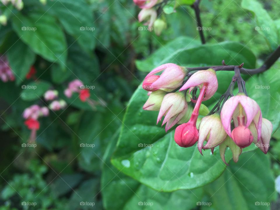 First signs of spring your neighborhood