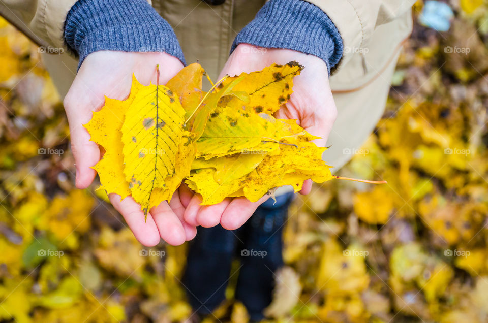 Colour Stories: Yellow