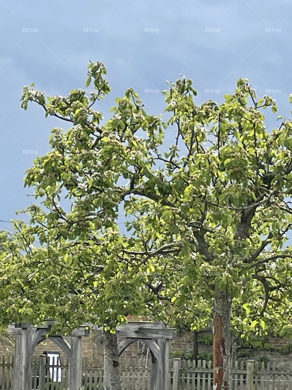 Spring has Sprung UK