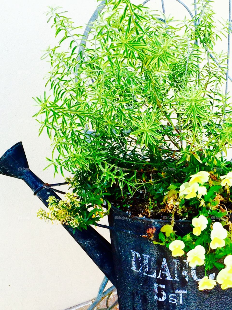 lovely summer arrangement