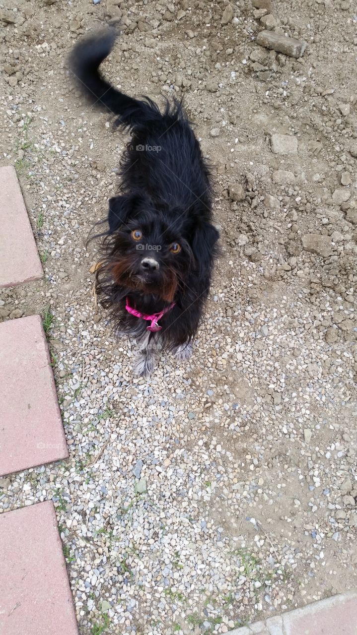 What Mom? Wasn't me!