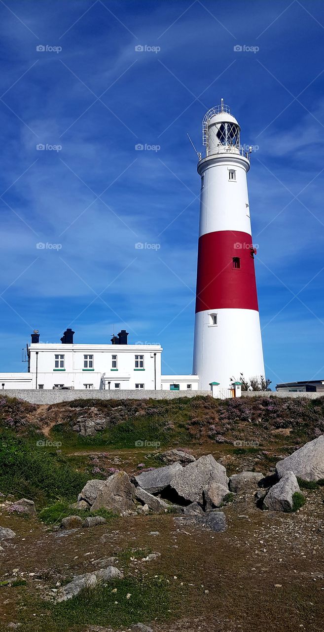 🇬🇧 sunny day in UK 🇬🇧