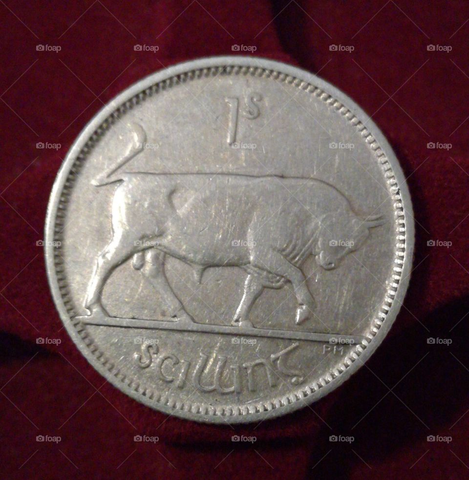 old irish silver coin