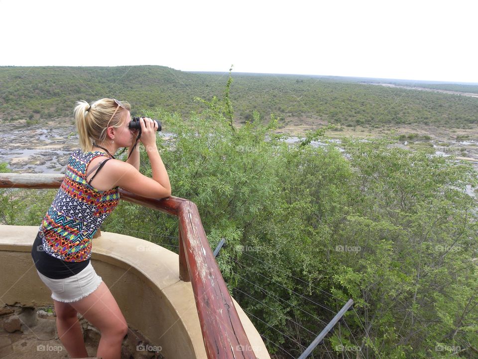 wildlife spotting in Kruger park in South Africa