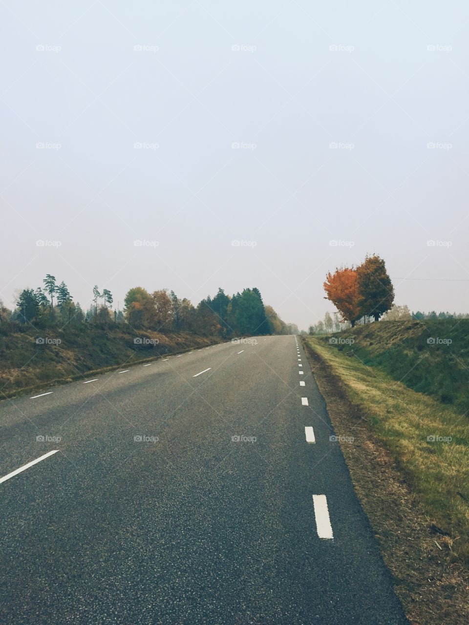 Road