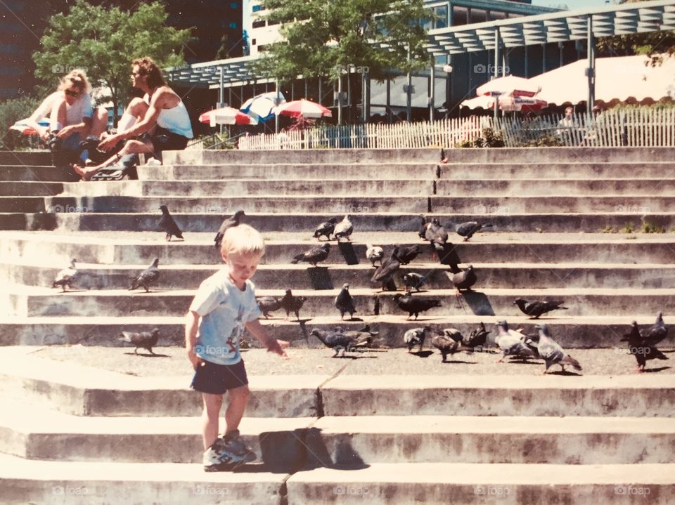 Boy and Pigeons 