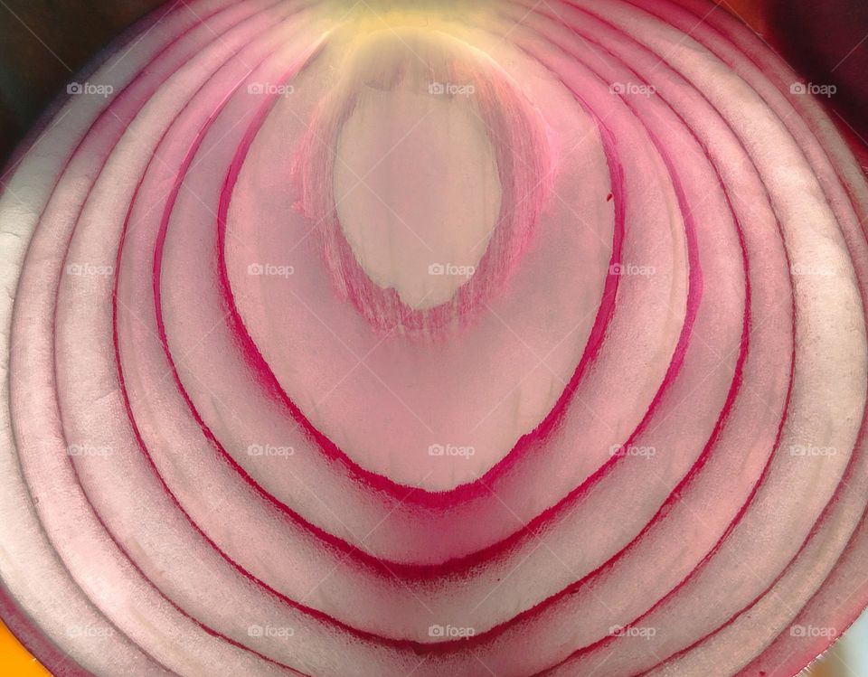 Purple Onion in section