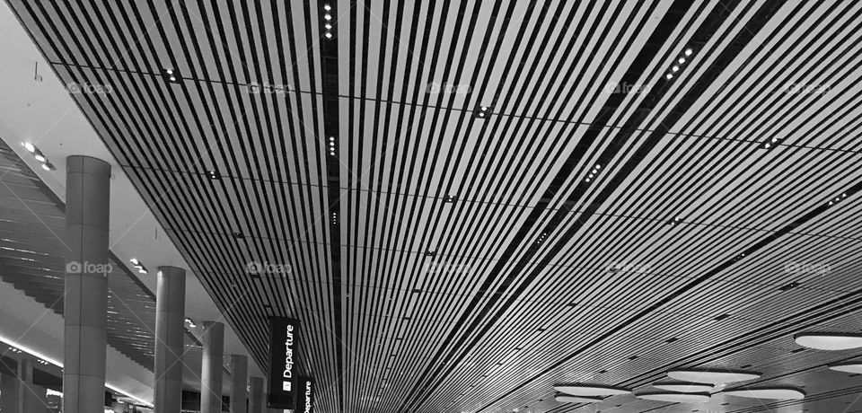 Architecture ; ceiling  design 