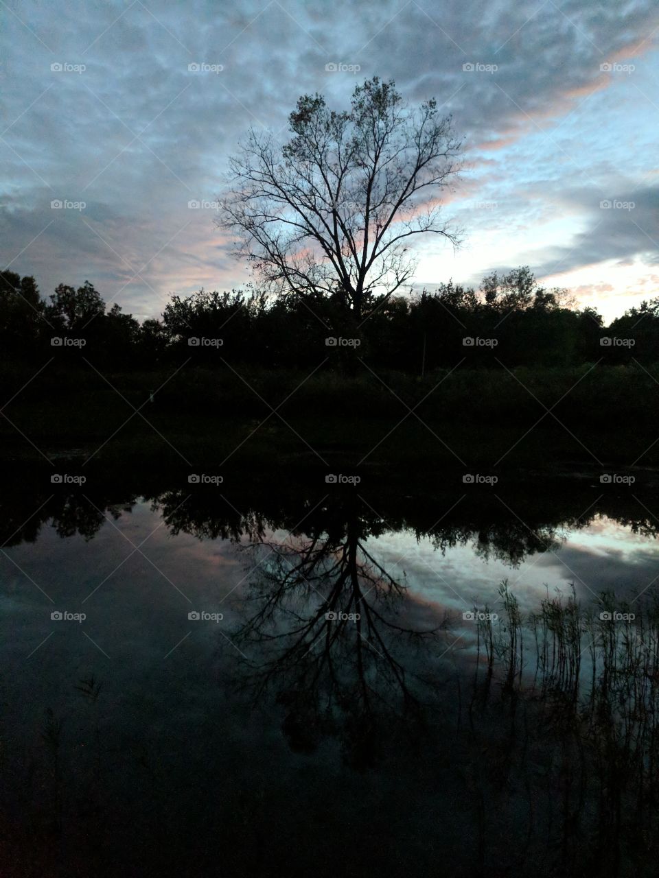 Autumn rain reflections