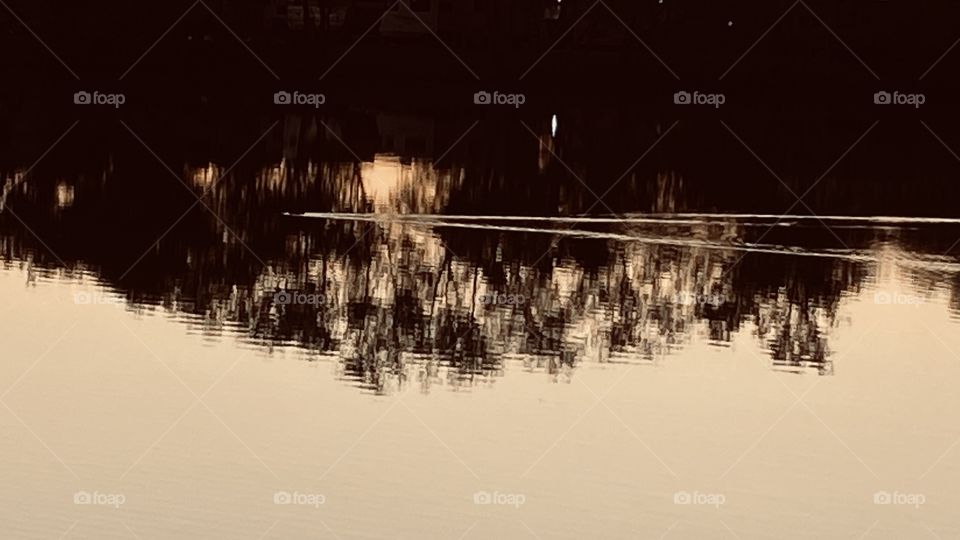 We have been noticing this little black duck from our picture window facing the entire face of the lake swim up and down daily. We wonder if this little black Duck has no other Duck around how it came to be.