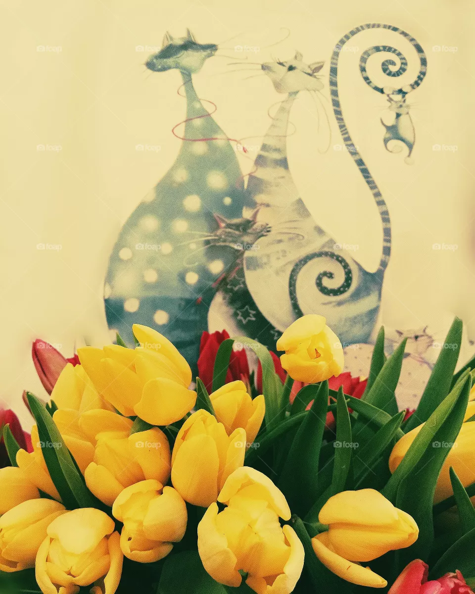 Tulips
