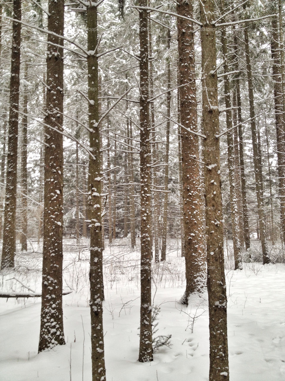 path ski hike walk by somebeach