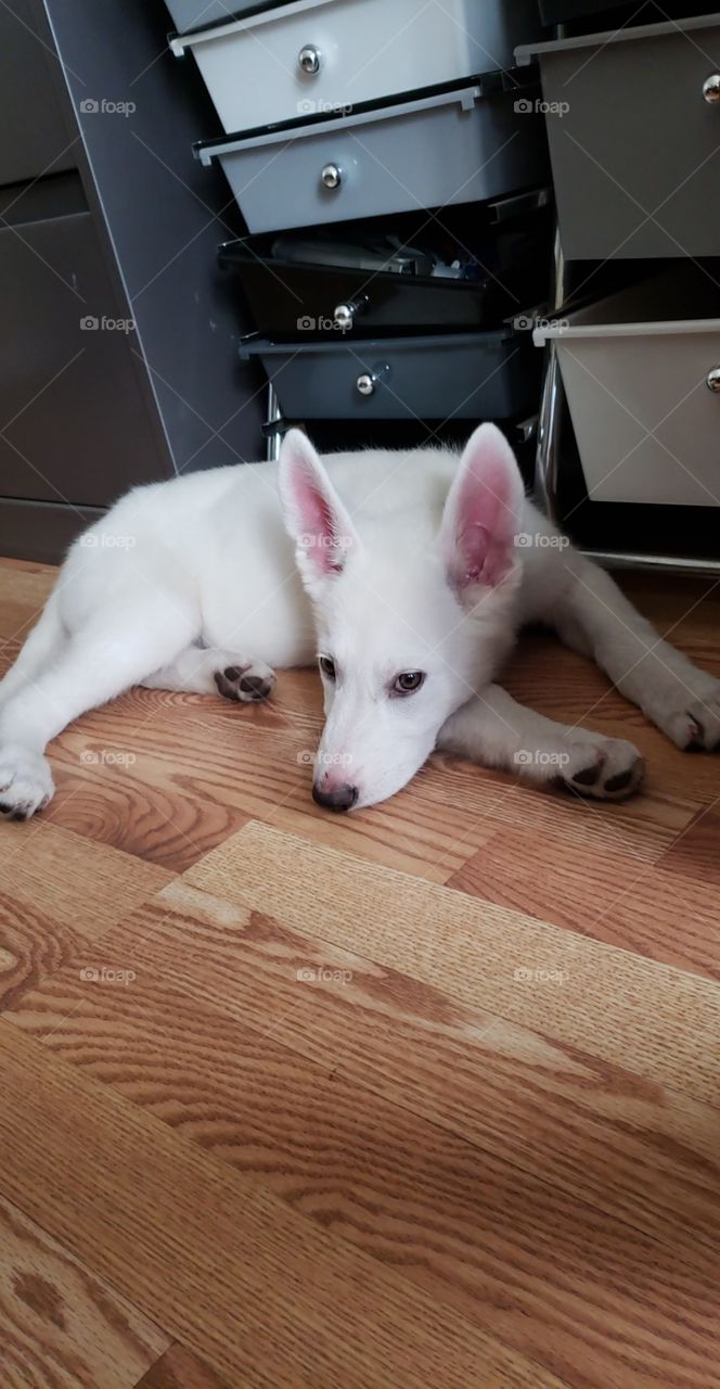 I'll just stay here.