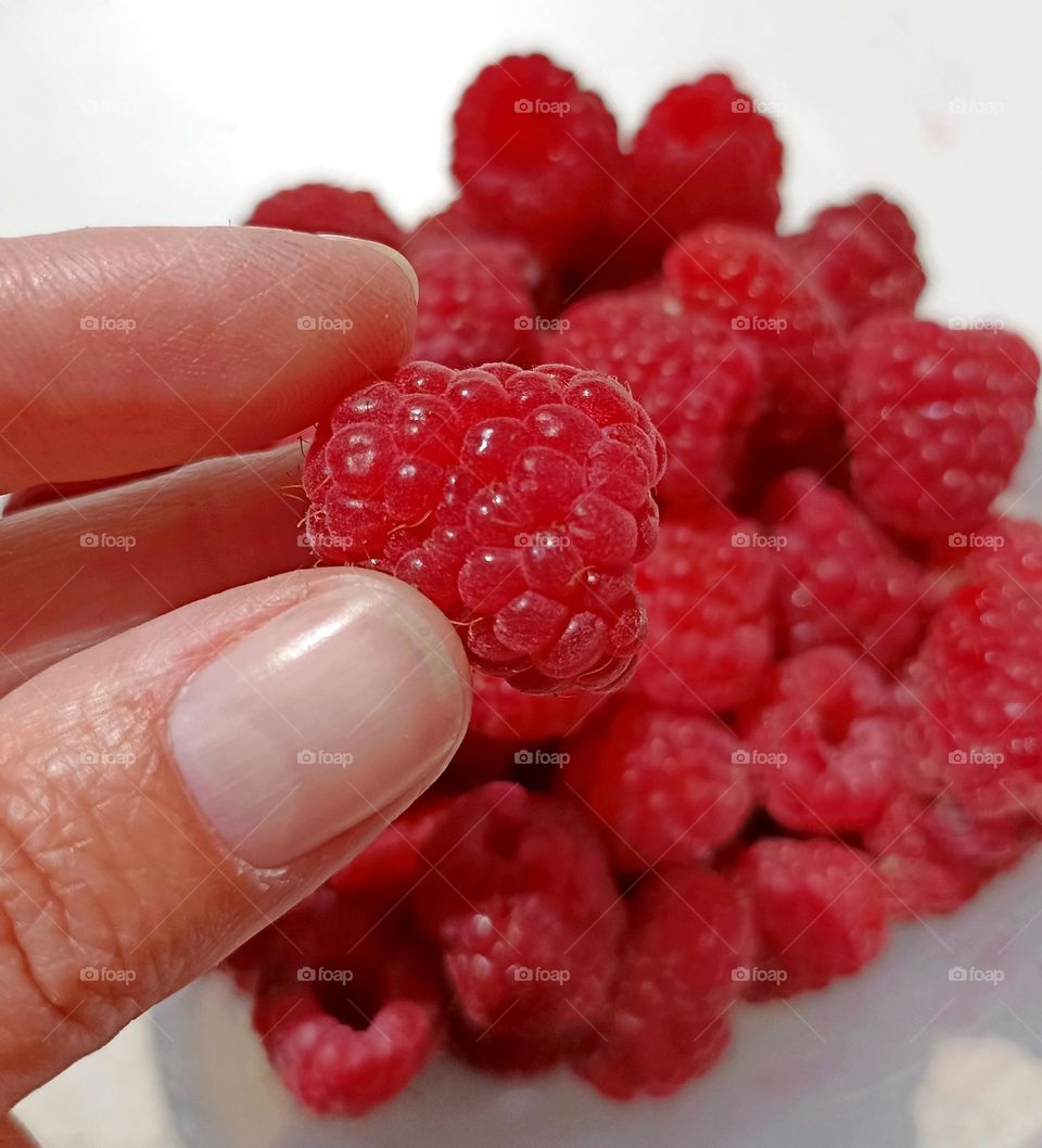 tasty raspberry in the hand magenta colour