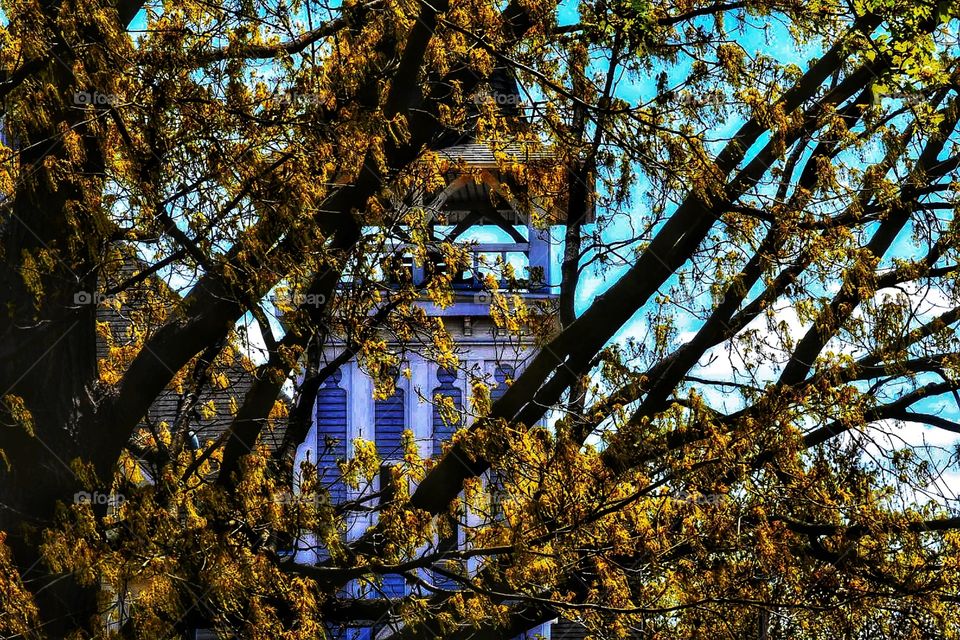 The church in spring