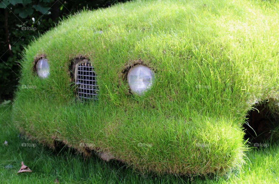 Abandoned car covered with grass