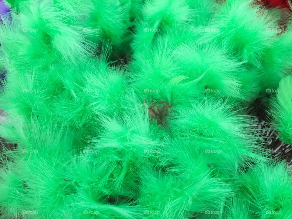 Green easter feathers.