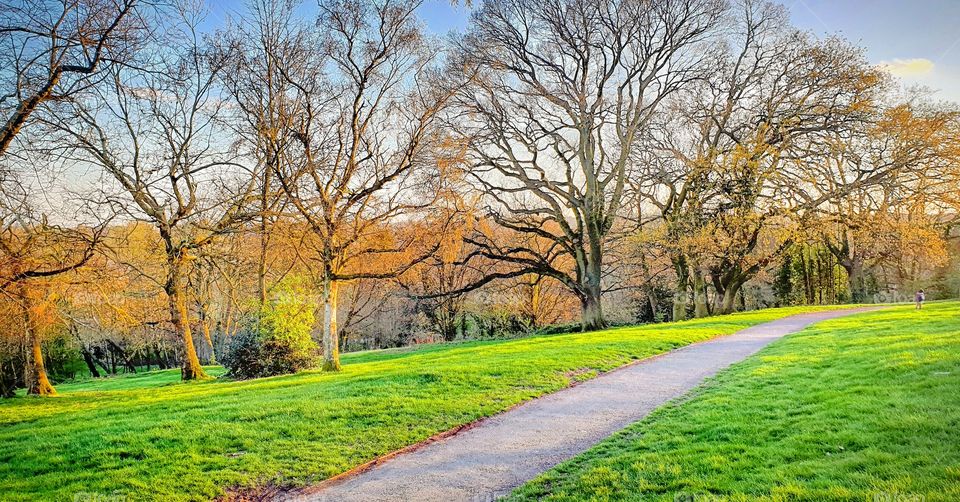 #alexandra #palace #park