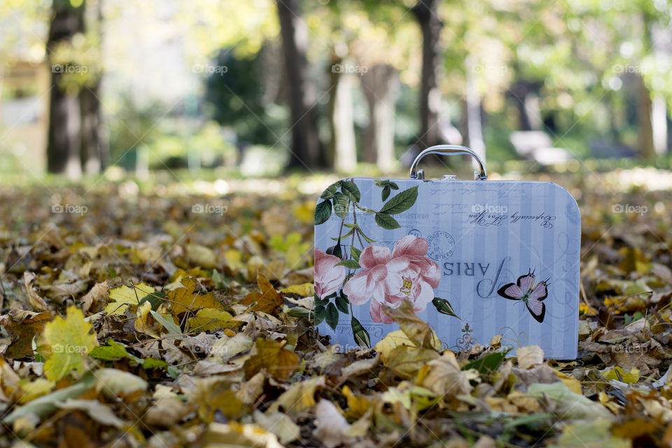 vintage suitcase in autumn. colorful vintage suitcase in autumn leaves