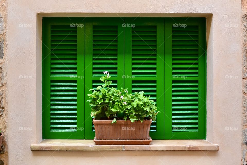 green window