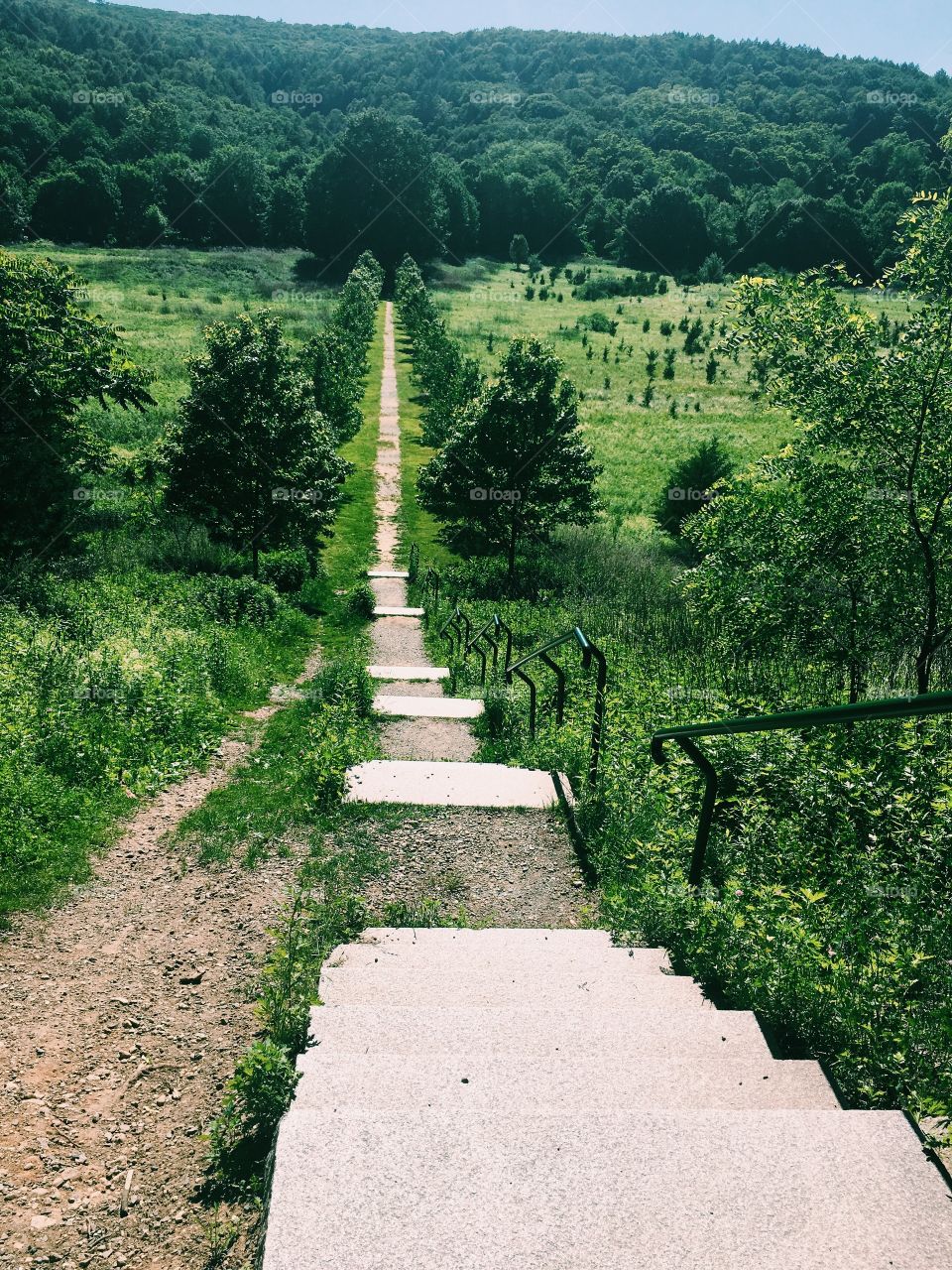 Stairway to nature