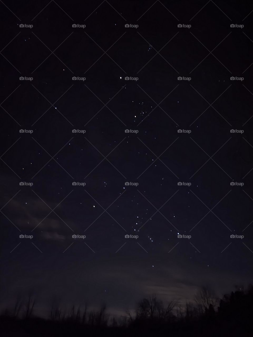 Orion on January 15, 2023